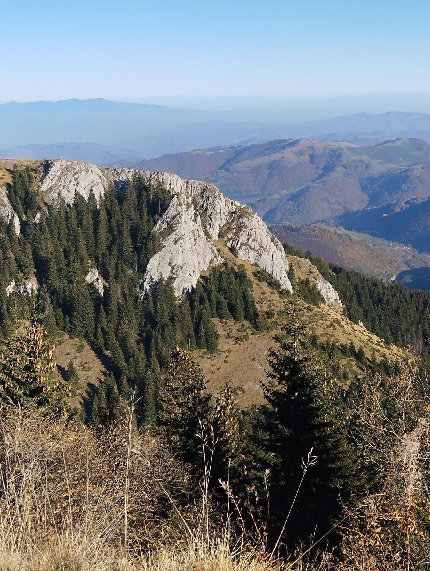 Lela Kop Lägenhet Kopaonik Exteriör bild